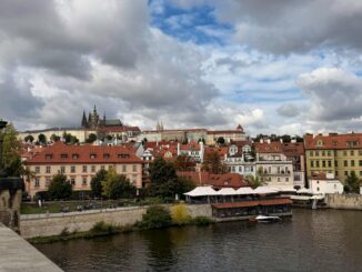 Ilustrační foto Pexels