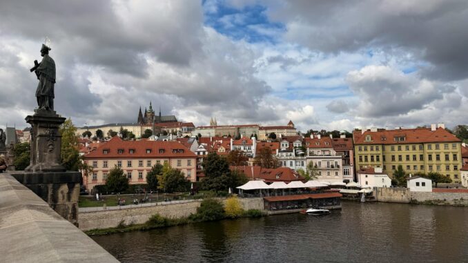 Ilustrační foto Pexels